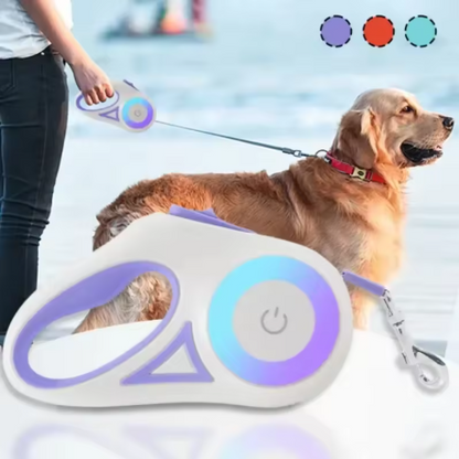 laisse enrouleur pour chien neige