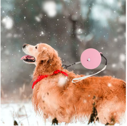 laisse enrouleur pour chien neige