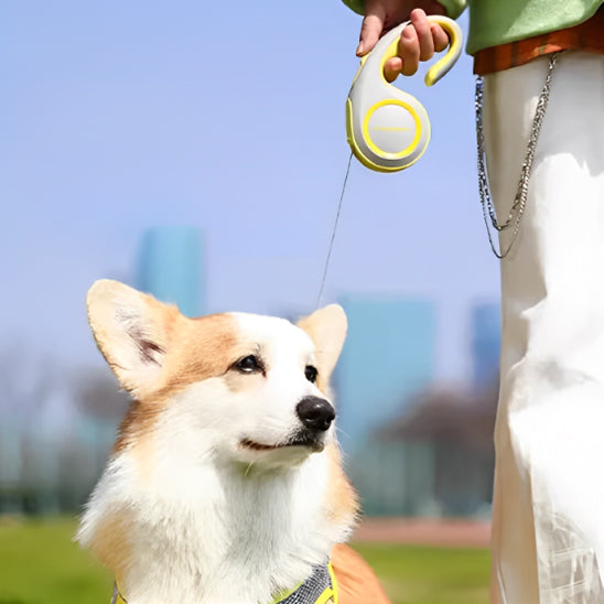 Laisse enrouleur pour chien / FreePaws™