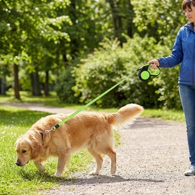 Laisse enrouleur pour chien sécuritaire 