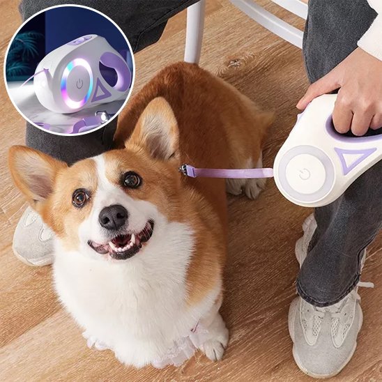 laisse enrouleur pour chien variante violet