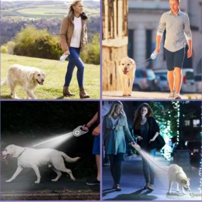 laisse enrouleur pour chien ville chemin nuit