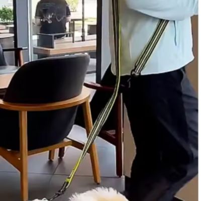 laisse mains libres pour chien confort plus vert