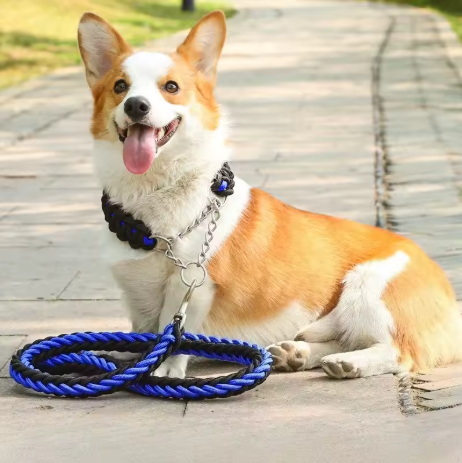 laisse pour chien allonger trottoir