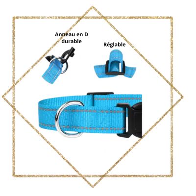 Laisse pour chien anneau D réglable