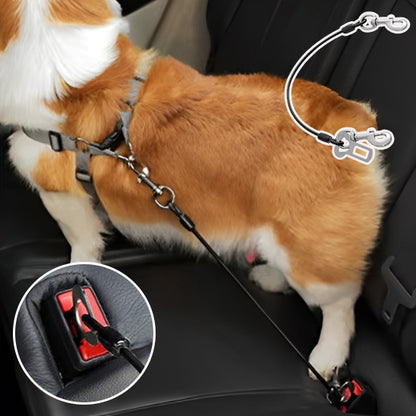 Laisse pour chien attache voiture
