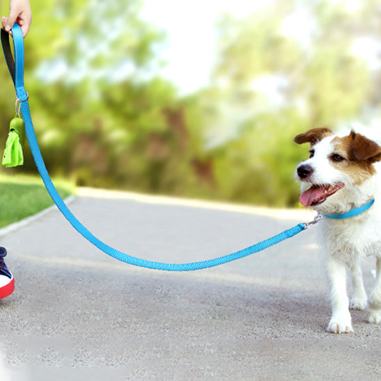 laisse pour chien bleu rue
