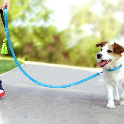 laisse pour chien bleu rue