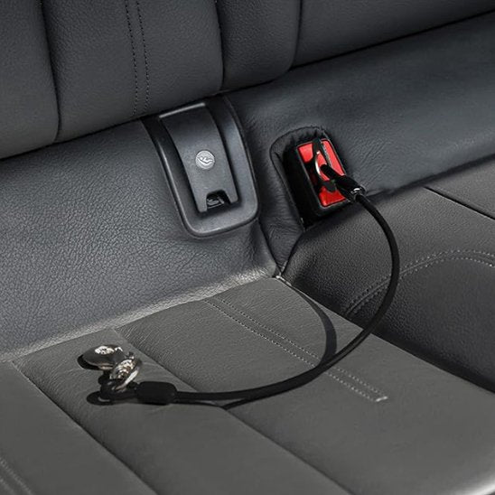 Laisse pour chien ceinture de sécurité chien voiture