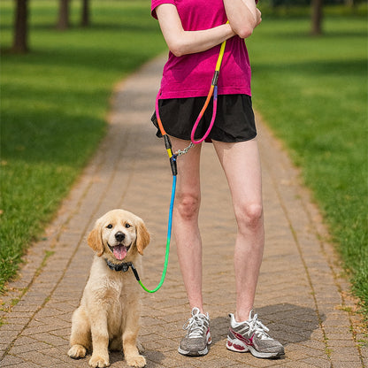 laisse pour chien chemin