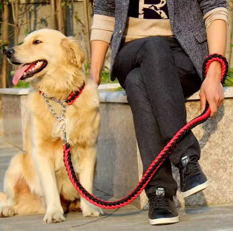 Laisse pour chien / Baladéo™