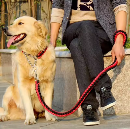 Laisse pour chien / Baladéo™