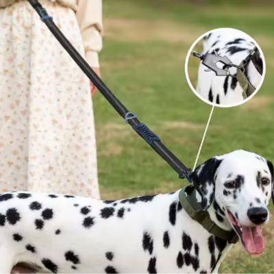 laisse pour chien clip attache