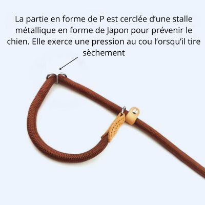 Laisse pour chien collier forme p