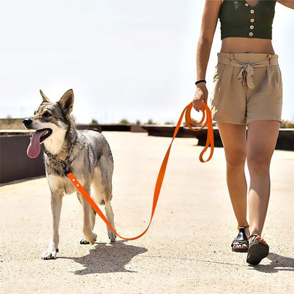 Laisse pour chien confortable légère