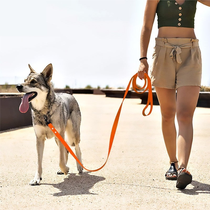 Laisse pour chien confortable légère