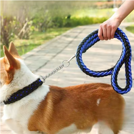 laisse pour chien esplanade