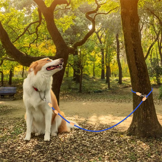 laisse pour chien foret assis