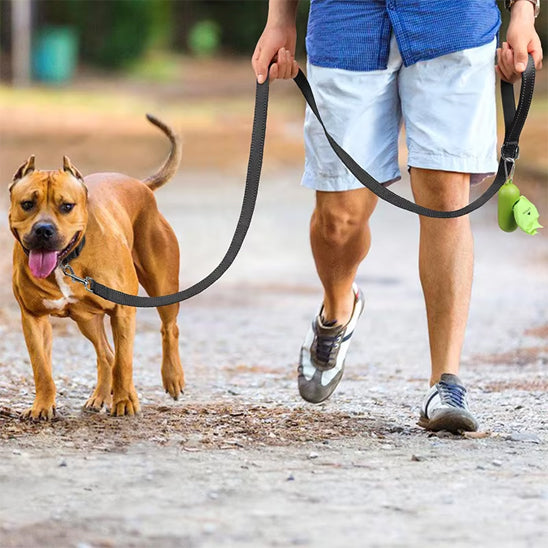 laisse pour chien homme chemin