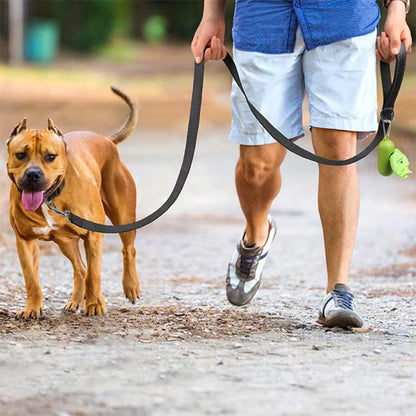 laisse pour chien homme chemin