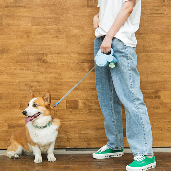 laisse pour chien homme debout