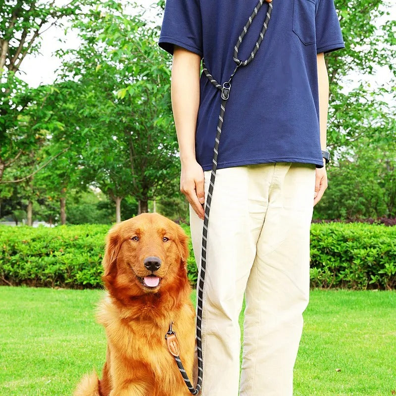laisse pour chien mains libres noir rayé