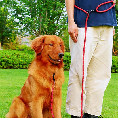 laisse pour chien mains libres rouge