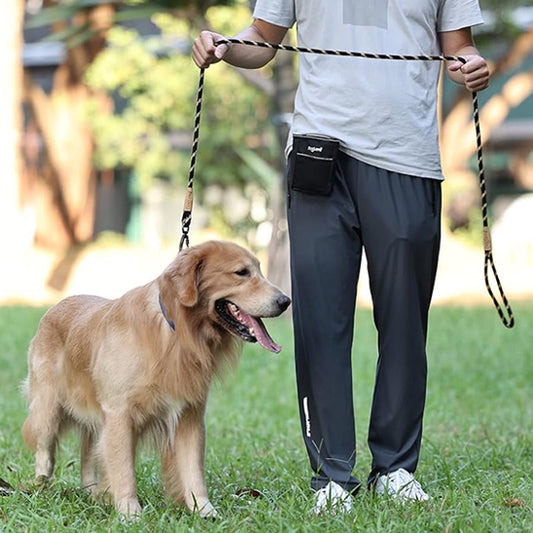 laisse pour chien maitre