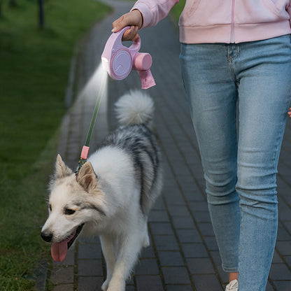 laisse pour chien marche rue