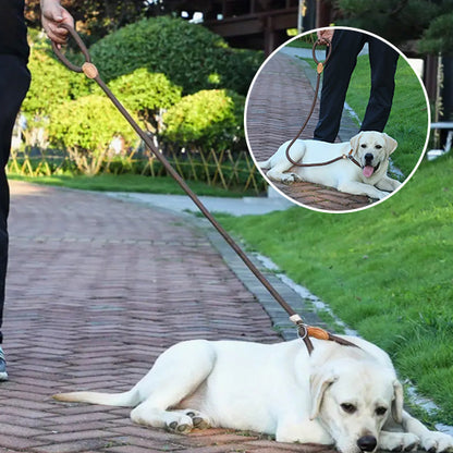 Laisse pour chien marron