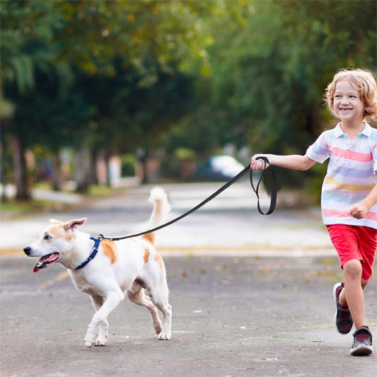 laisse pour chien noir petit enfant