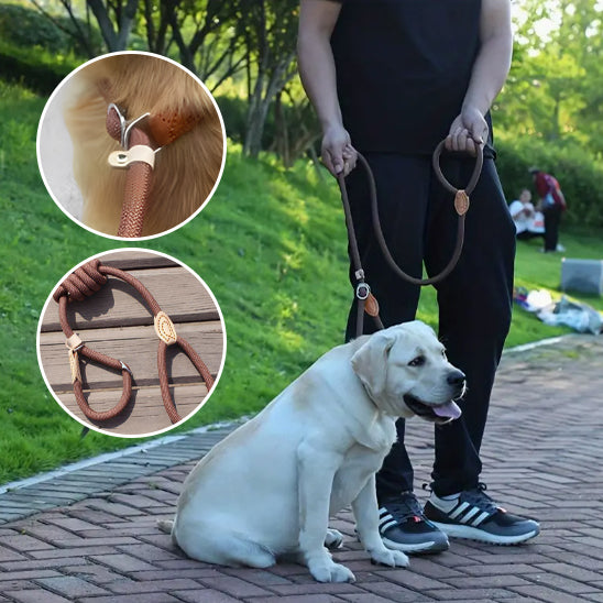 Laisse pour chien nylon gros plan