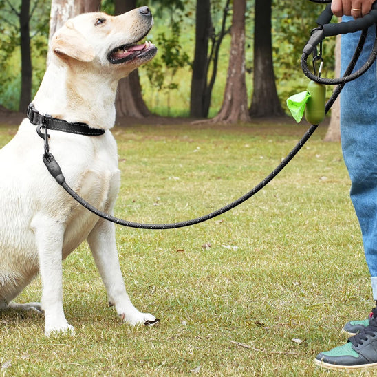 laisse pour chien nylon noir