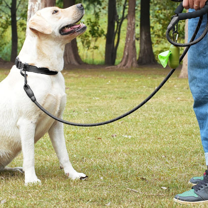 laisse pour chien nylon noir