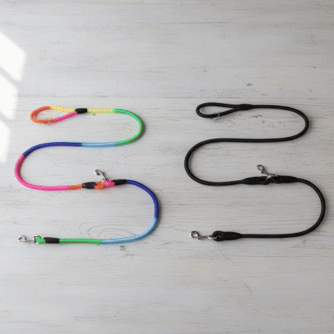 Laisse pour chien nylon robuste