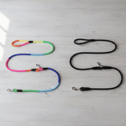 Laisse pour chien nylon robuste