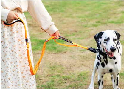 laisse pour chien orange
