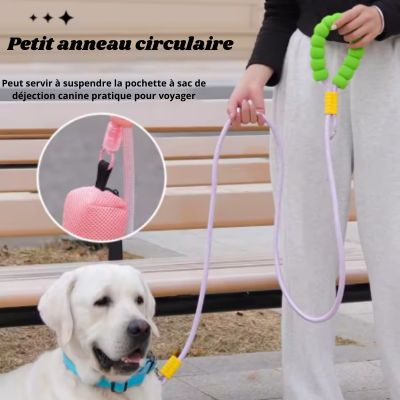 laisse pour chien petit anneau pochette