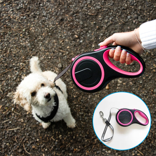 laisse pour chien rose assis