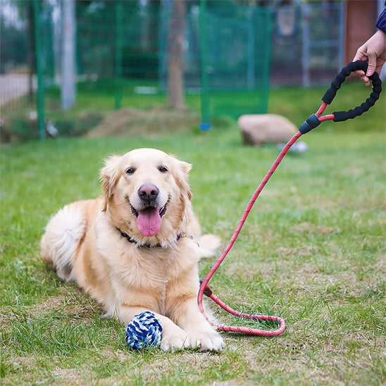 laisse pour chien rouge poignée confortabe