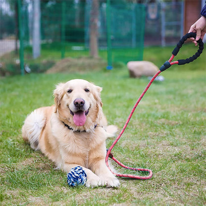 laisse pour chien rouge poignée confortabe