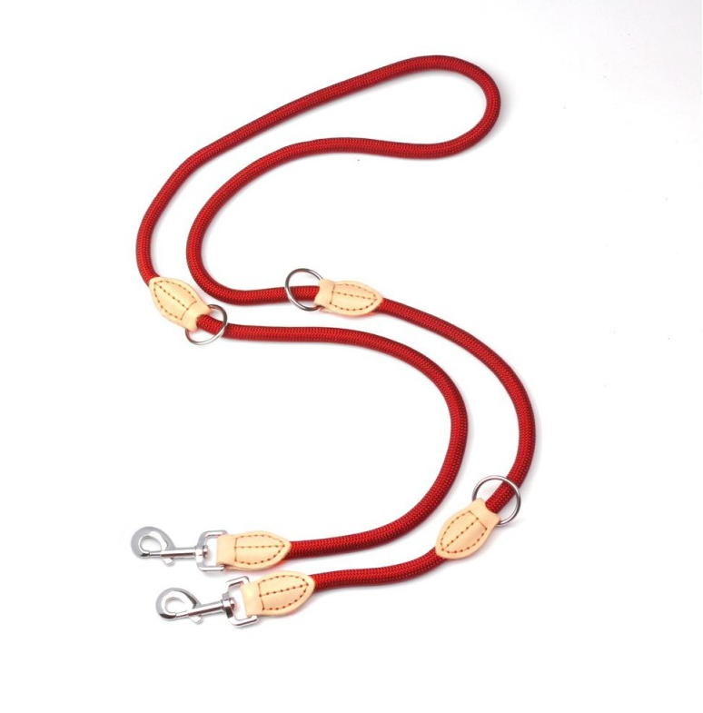 Laisse pour chien / FreeWalk™