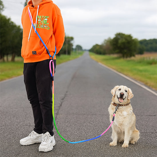 laisse pour chien route