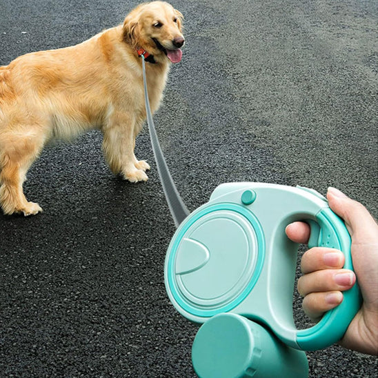laisse pour chien rue debout
