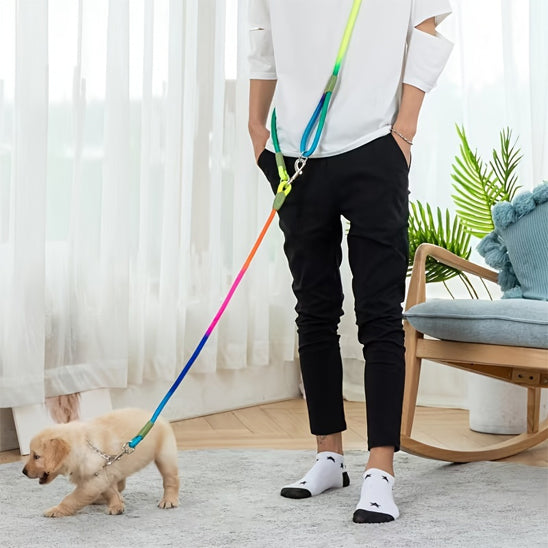 laisse pour chien salon