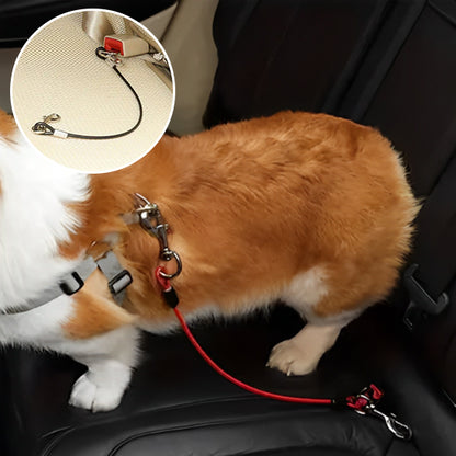 Laisse pour chien sécurité voiture