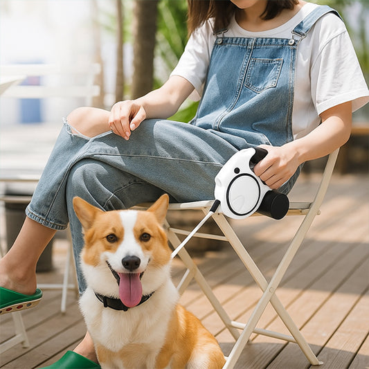 laisse pour chien terrasse