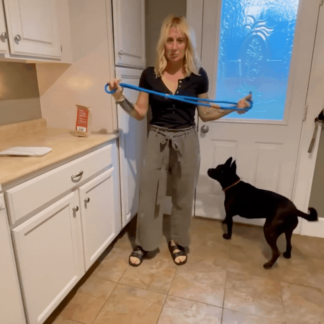 laisse pour chien tressée gif