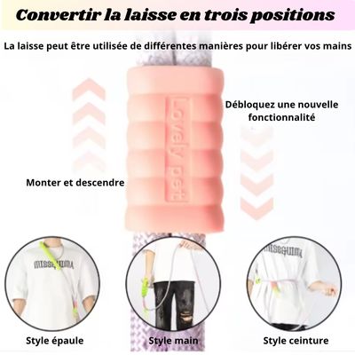 laisse pour chien trois positions