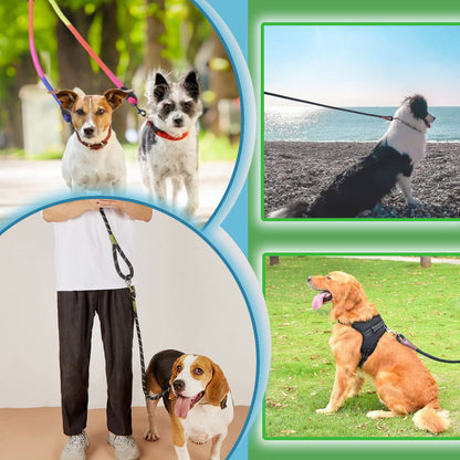 Laisse pour chien / PawTrip™